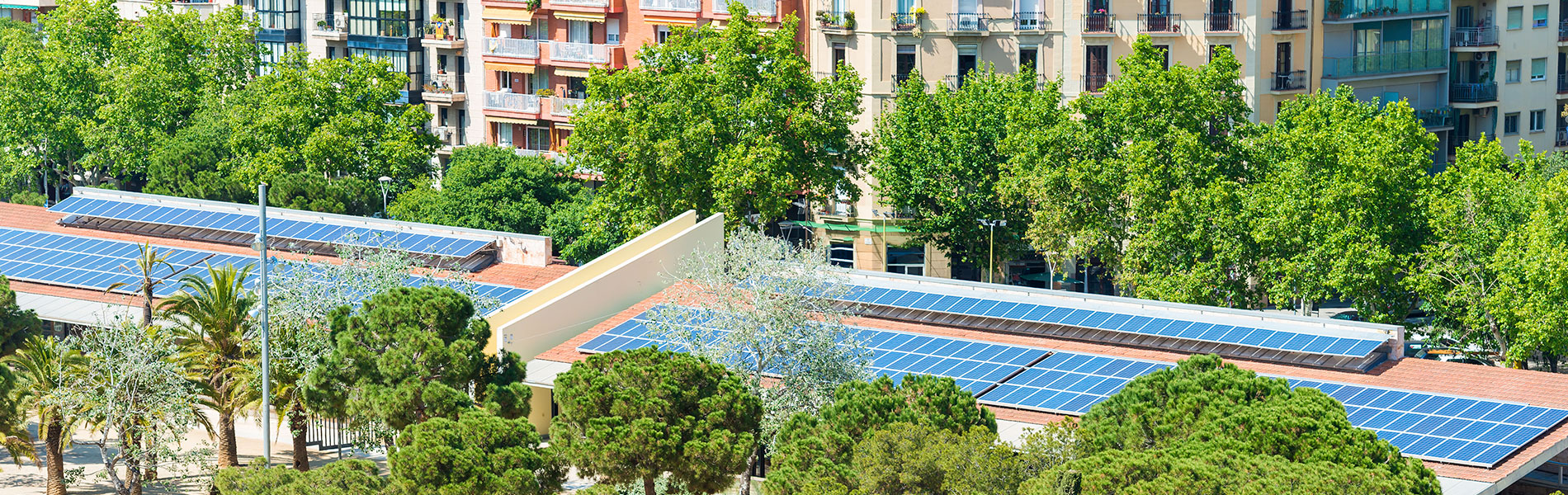 We focus our solutions on ecological sustainability